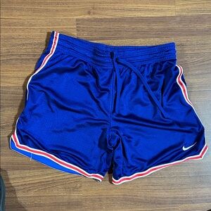 Nike Dri-FIT Royal Blue Shorts